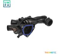 THERMOTEC D2C016TT Thermostat