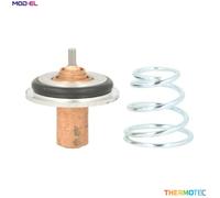 THERMOTEC D2R002TT Thermostat