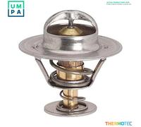 THERMOTEC D2W013TT Thermostat