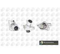 Thermostat, coolant for NISSAN OPEL RENAULT VAUXHALL:QX IV,KANGOO,PRIMERA