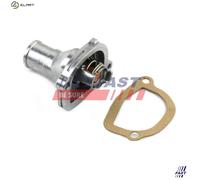 FAST FT58039 Thermostat