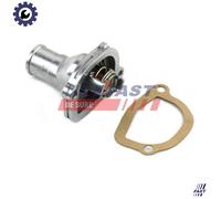 FAST FT58039 Thermostat