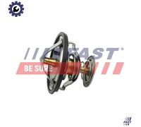 FAST FT58083 Thermostat