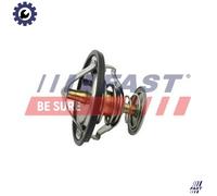 FAST FT58083 Thermostat