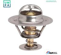 AVA COOLING SYSTEMS RTTS009 Thermostat