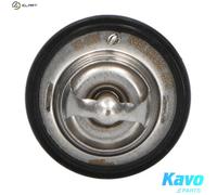 KAVO PARTS TH-1001 Thermostat