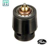 Gates TH598105 Thermostat