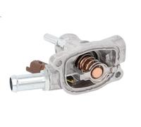THERMOTEC D2F013TT Thermostat