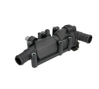 THERMOTEC D2G017TT Thermostat