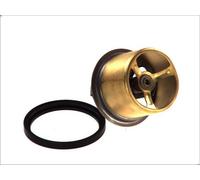 Thermostat, coolant THERMOTEC D2RV001TT for RENAULT TRUCKS G 6.177 1990-1991