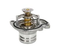 THERMOTEC D2X022TT Thermostat