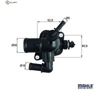 MAHLE TI 251 88D Thermostat