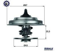 MAHLE TX 18 79 Thermostat