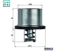 Thermostat Insert MAHLE TX 37 79 Quality MAHLE Genuine UK Stock
