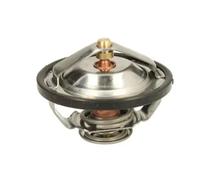 THERMOTEC D2CA009TT Thermostat