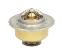 THERMOTEC D2JD006TT Thermostat