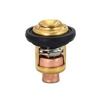 Thermostat FIT FOR 4 Stroke BF5 BF100 50-52C 125F