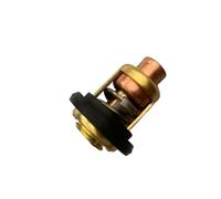 Thermostat For Outboard Motor Propeller Mounted Engine Compatible With 3-225HP Models 6G8-12411-01 60℃ 66M Universal Fit Painier And Similar