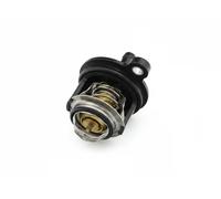 FAST FT58030 Thermostat