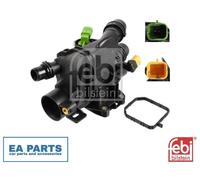 Thermostat Housing for CITROËN BERLINGO MULTISPACE C3 C4 FEBI BILSTEIN 172244