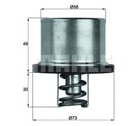 Thermostat Insert MAHLE TX 37 79 Quality MAHLE Genuine UK Stock