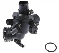 TRISCAN 8620 34295 Thermostat