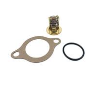Thermostat Kit for 4.3L 5.0L 5.7L 7.4L 8.1L 0769578 3853983 3852111 3852071 Marine Engine, Suitable for Accessories replacement