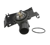 THERMOTEC D2S002TT Thermostat