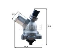 MAHLE TM 43 105 Thermostat