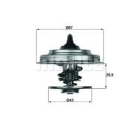 MAHLE TX 18 79 Thermostat