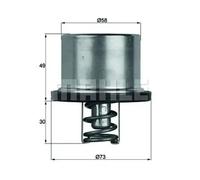 Thermostat Insert MAHLE TX 37 79 Quality MAHLE Genuine UK Stock