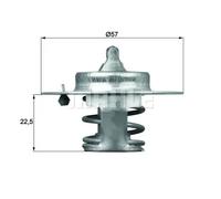 MAHLE TX 60 83D Thermostat