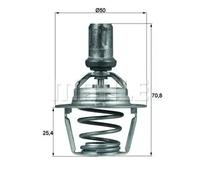 MAHLE TX 66 86D Thermostat
