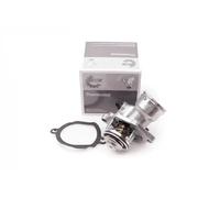ESEN SKV 20SKV060 Thermostat
