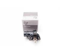 ESEN SKV 20SKV062 Thermostat
