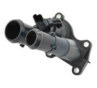 ERA 350495A Thermostat