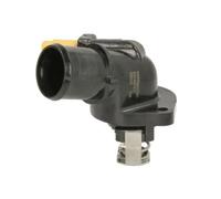 THERMOTEC D2C007TT Thermostat