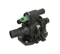 THERMOTEC D2C010TT Thermostat