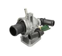 THERMOTEC D2F007TT Thermostat