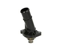 THERMOTEC D2G013TT Thermostat
