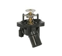 THERMOTEC D2G015TT Thermostat