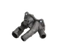 THERMOTEC D2G016TT Thermostat