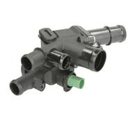 THERMOTEC D2W006TT Thermostat