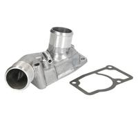 THERMOTEC D2X024TT Thermostat