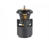 FAE 5320687 Thermostat