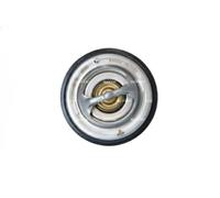 NRF 725216 Thermostat