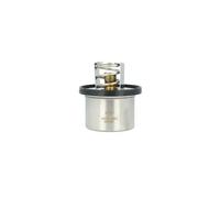 NRF 725431 Thermostat
