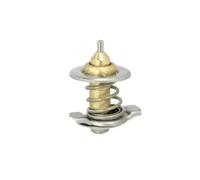 THERMOTEC D2IV007TT Thermostat
