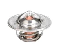 THERMOTEC D2JD004TT Thermostat