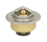 THERMOTEC D2JD007TT Thermostat